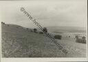 Ith-Wiesen - Foto 8cm x 11cm 1937