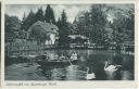 Postkarte - Silbermühle im Teutoburger Wald