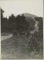 Heideweg am Hengeberg - Foto 8cm x 11cm 1933