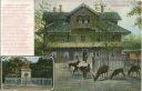 Postkarte - Dambachhaus - Pfeil's Denkmal