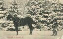 Postkarte - Schierke - Winter-Sport - Pferd