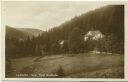 Lautenthal - Hotel Waldkater - Foto-AK