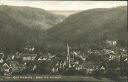 Ansichtskarte - Bad Harzburg - Blick ins Radautal