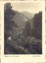 Postkarte - Blick ins Okertal
