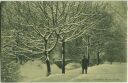 Postkarte - Magdeburg - Stadtpark im Schnee