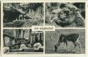 Postkarte - Wuppertal - Zoo