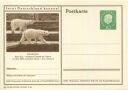 Gelsenkirchen - Ruhr-Zoo - Bildpostkarte