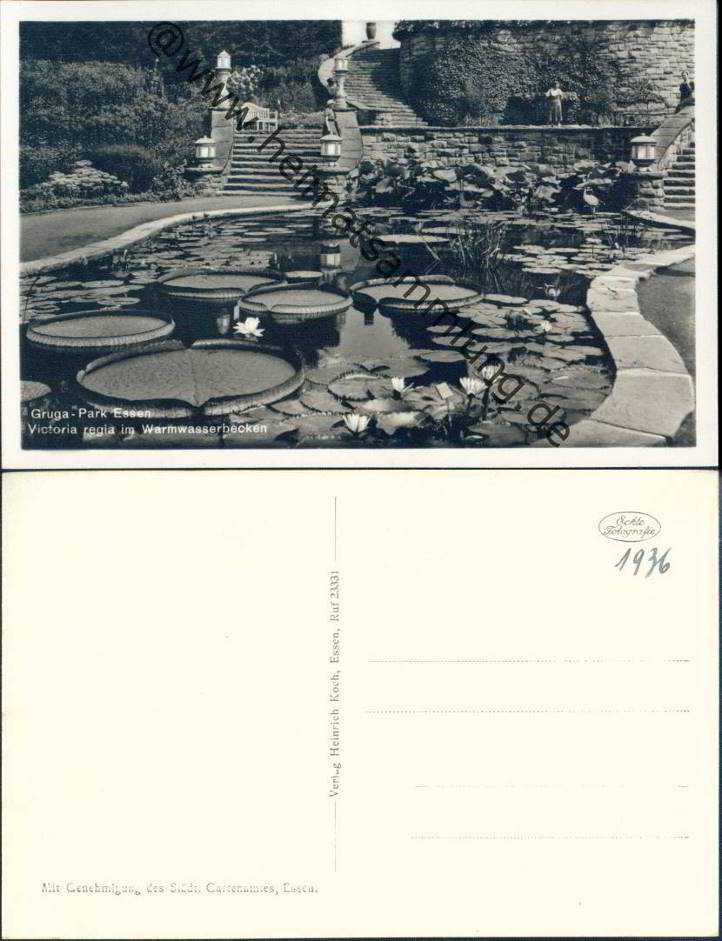 ESSEN Mehrbild-AK Blumenhof Gruga-Park Gaststätte 80er Postkarte Postcard