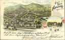 Ansichtskarte - Gruss aus Bad Nauheim - Totale - Teichhaus