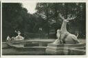 Postkarte - Schwetzingen - Schlossgarten - Hirschgruppe