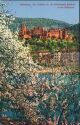 Ansichtskarte - Heidelberg - Schloss von der Hirschgasse aus