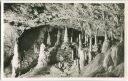 Bärenhöhle - Foto-Ansichtskarte