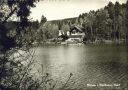 Foto-AK - Ebnisee im Welzheimer Wald