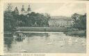 Ansichtskarte - 78116 Donaueschingen - Schloss mit Pfauenweiher