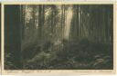 Postkarte - Königsfeld - Doniswald