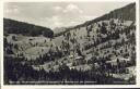 Blasiwald - Hochschwarzwald (Sommerseite) im Hintergrund das Spieshorn - Foto-AK