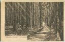 Postkarte - Schwarzwald - Waldeinsamkeit
