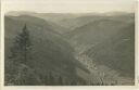 Feldberg - Wiesental - Foto-AK