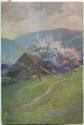 Postkarte - Frühling im Schwarzwald