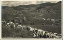 Bernau im Schwarzwald - Geburtsort von Hans Thoma - Foto-AK 40er Jahre