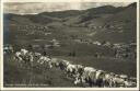 Bernau im Schwarzwald - Geburtsort von Hans Thoma - Foto-AK 40er Jahre