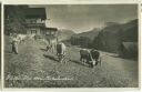 Pfeiffer-Alm - Kühe - Foto-Ansichtskarte