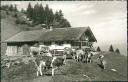 Ansichtskarte - Daffner-Alm am Heuberg