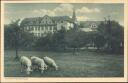 Postkarte - Eichstätt - Auf der Klosterwiese