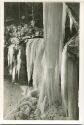 Scheidegg - Wasserfälle - Winter 1954 - Foto-AK