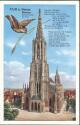 Postkarte - Ulm - Münster