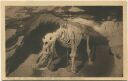 Postkarte - Teufelshöhle - Höhlenbär