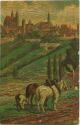 Postkarte - Rothenburg - Blick vom Felsenkeller