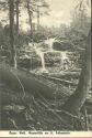 Bayerischer Wald - Wasserfälle am kleinen Falkenstein