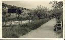 Bad Mergentheim - Sanatorium Taubertal