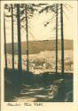 Altenfeld Thüringer Wald - Postkarte