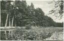 Gehren - Seerosenteich - Foto-AK