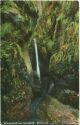 Postkarte - Eisenach - Wasserfall