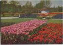 Postkarte - Erfurt - Internationale Gartenbauausstellung - Tulpenfelder
