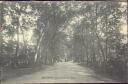 Weimar - Promenade im Park - Postkarte