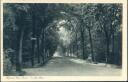 Postkarte - Bad Berka - Kurpark - Goethe Allee