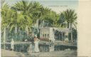 Postkarte - Suez - Mosesquelle