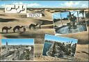 Ansichtskarte - Tripoli - Libyen