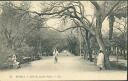 Ansichtskarte - Algerien - Biskra - Allee du Jardin Public