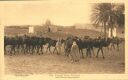 Touggourt - Passage d'une Caravane - Postkarte