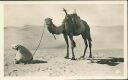 Ansichtskarte - Algerien - La Priere au Desert - Das Gebet in der Wüste