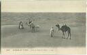 CPA - Dunes de Sable du Sahara