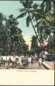 Postkarte - Bombay - A Palm Grove