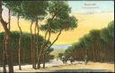 Postcard - Beyrouth - Promenade des Pins
