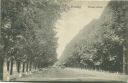 Postkarte - Danzig - Grosse Allee ca. 1910