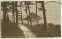 Postkarte - Torquay - The Pines